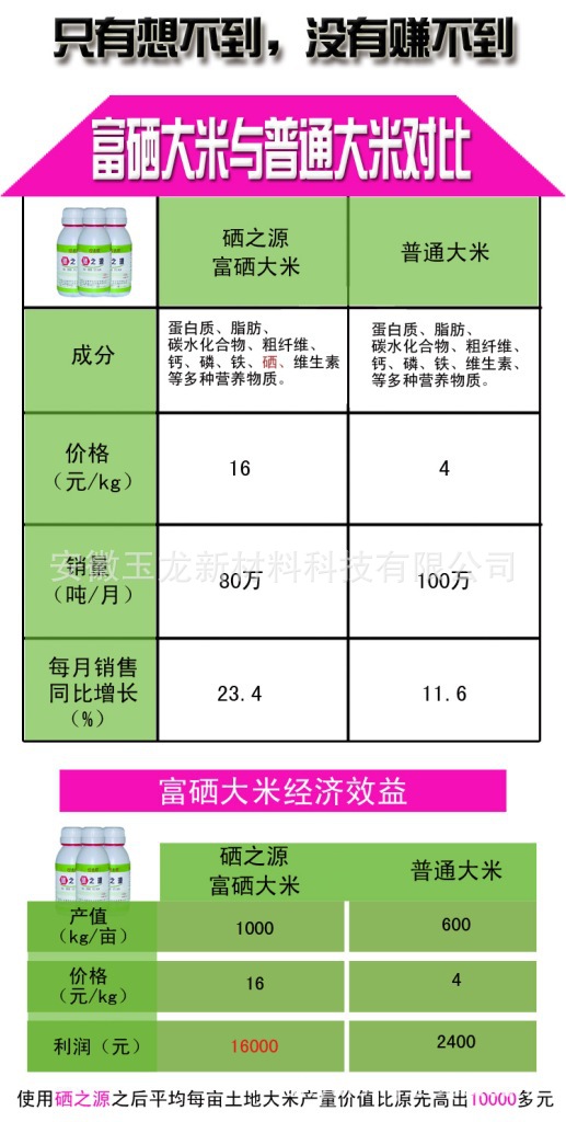 2024年免费资料大全