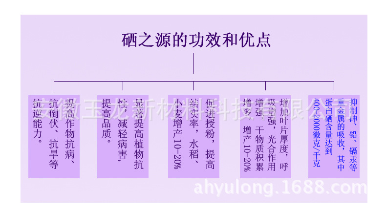 2024年免费资料大全